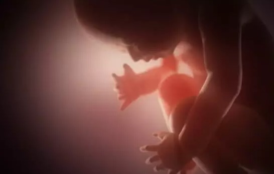 Hallan dos fetos en el armario de una joven, investigada por doble infanticidio en Italia