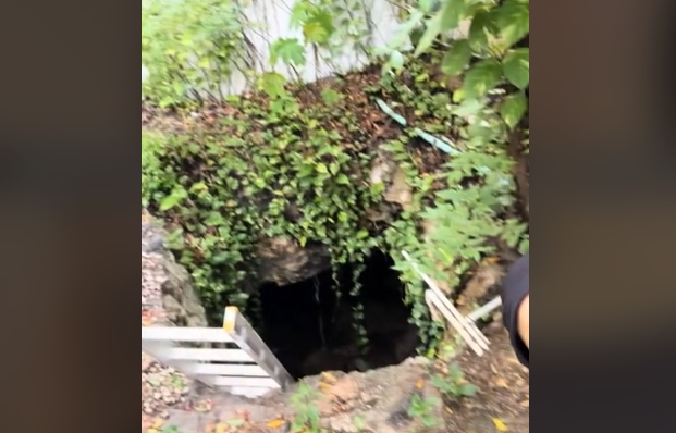 VIDEO: Encontró un hoyo en el jardín de su casa, decidió bajar y lo que vio adentro la dejó maravillada