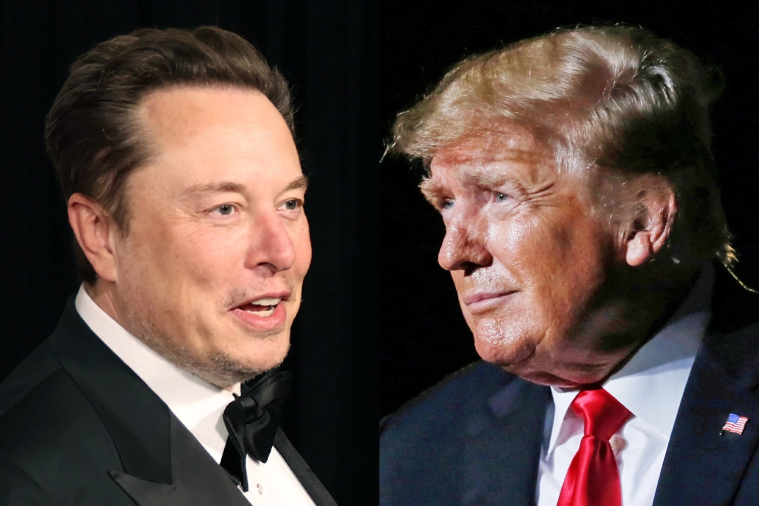 “Estoy dispuesto a servir”: La respuesta de Elon Musk al ofrecimiento de Donald Trump