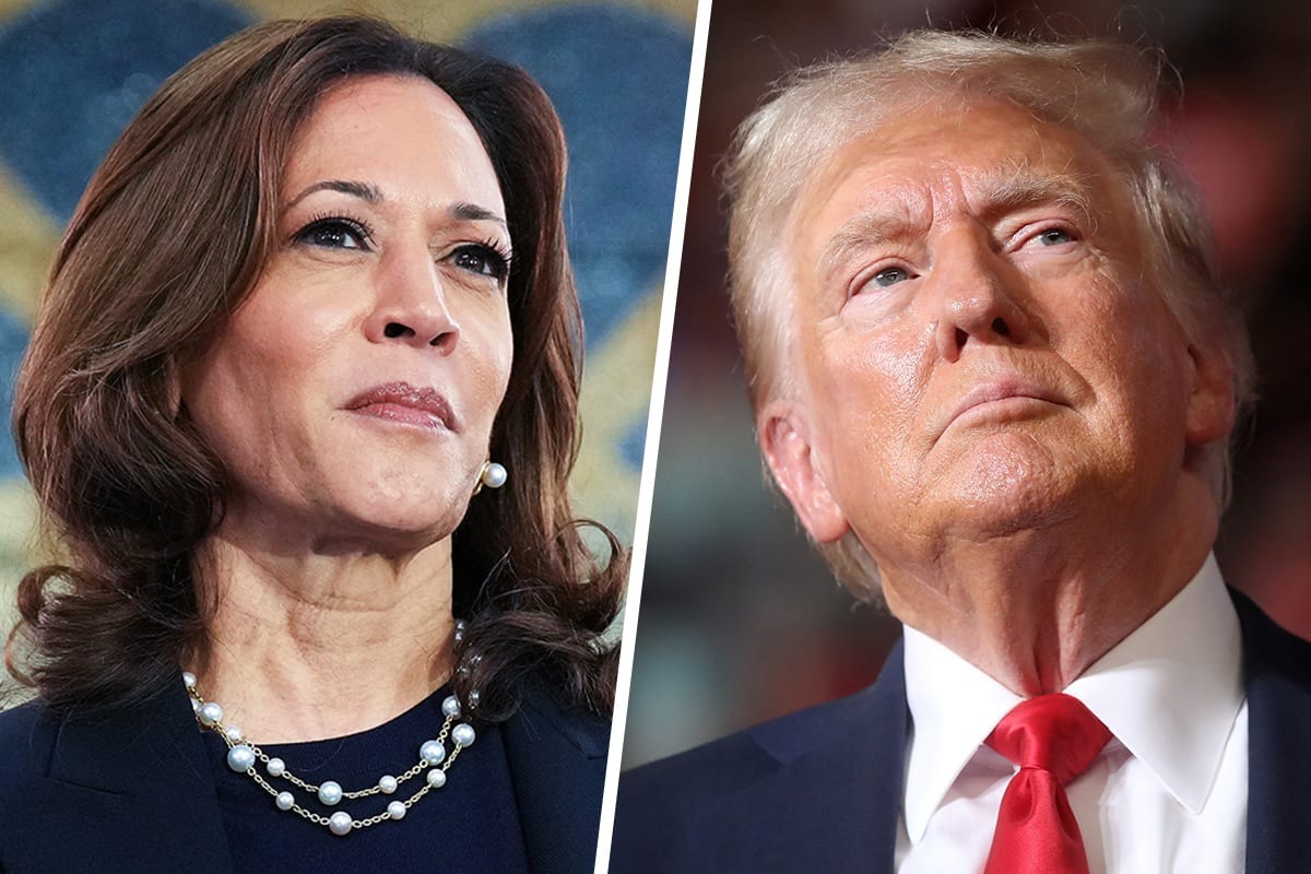 Factores que explican cómo Kamala Harris dio la vuelta a las encuestas y descolocó a Donald Trump