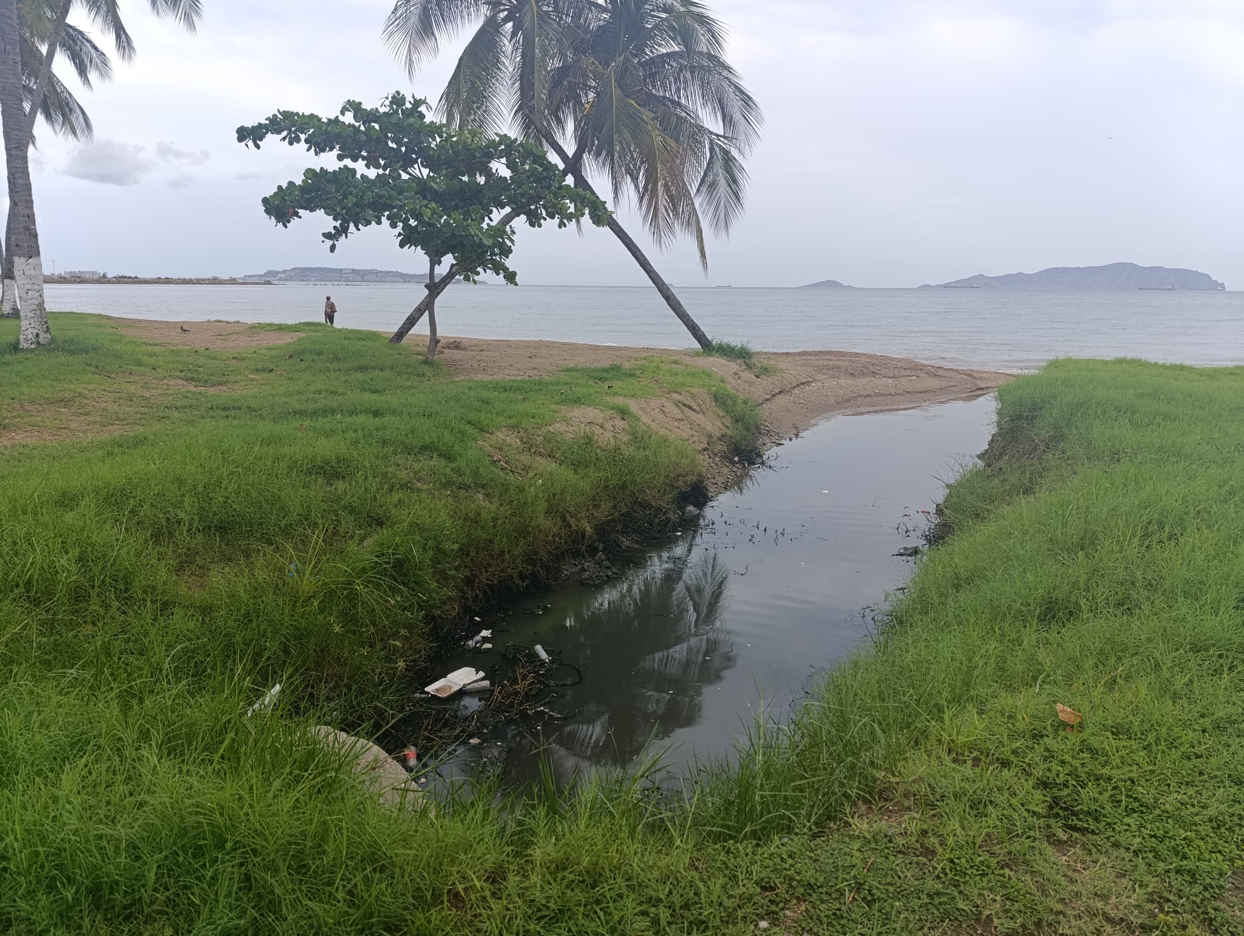 Ambientalista pide trabajos integrales para la descontaminación de la Bahía de Pozuelos en Anzoátegui (VIDEO)