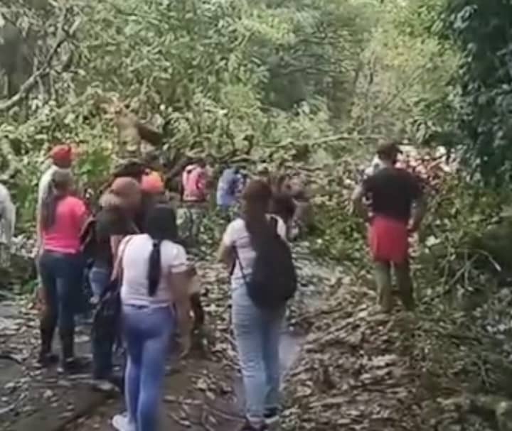 Incomunicado quedó el pueblo de La Barinesa por causa del ventarrón este #28Ago