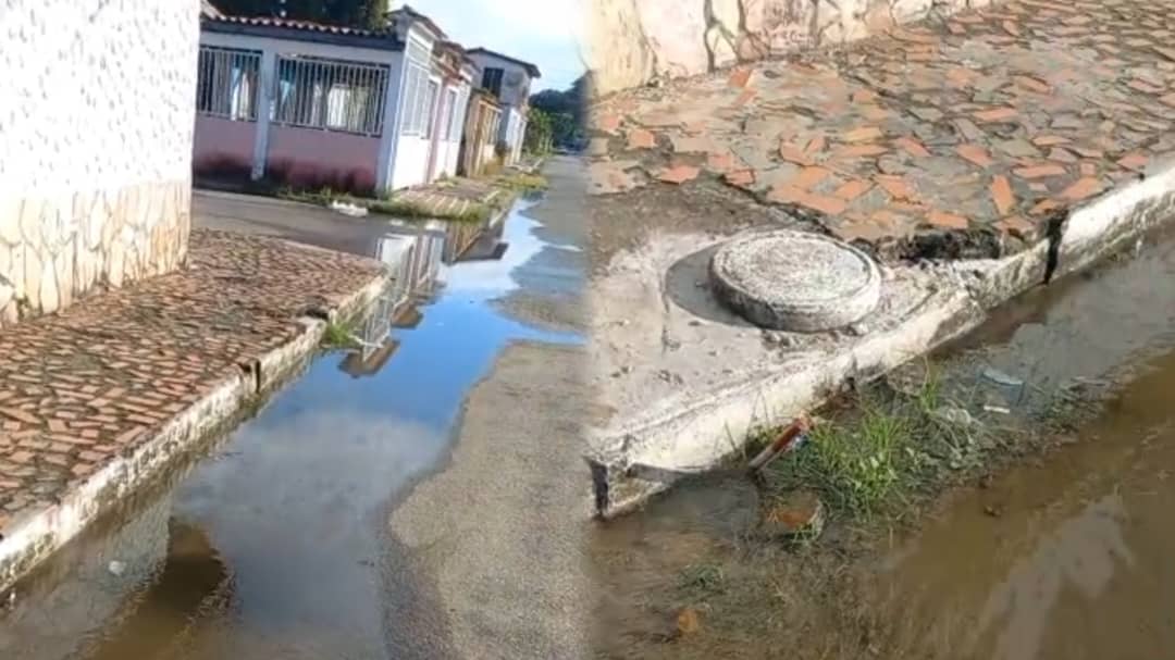 En el sector El Pilar de Barinas hay más agua en la calle que en las viviendas por una tubería rota