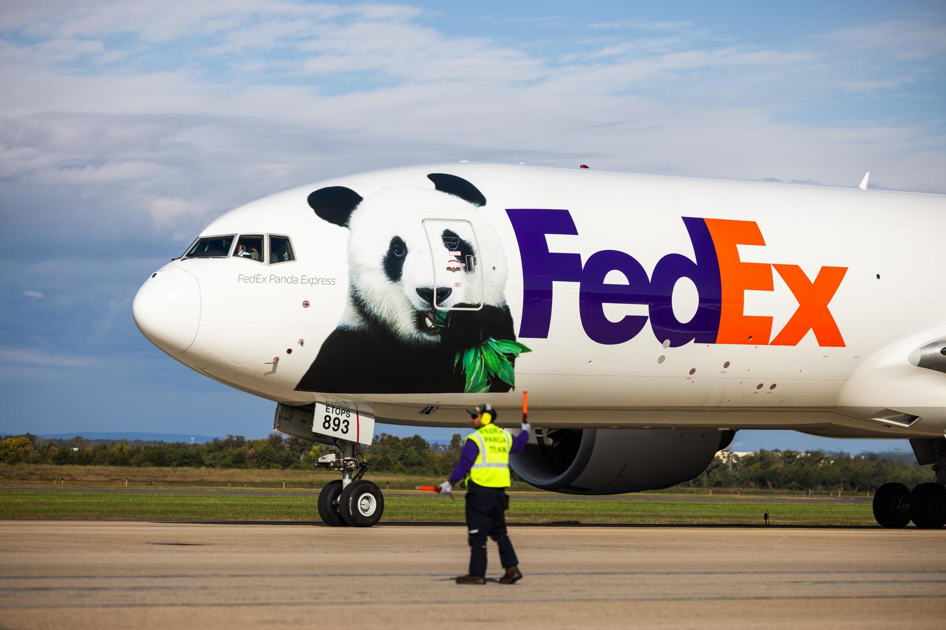 Llegan a EEUU dos pandas gigantes enviados por China al Zoológico Nacional de Washington