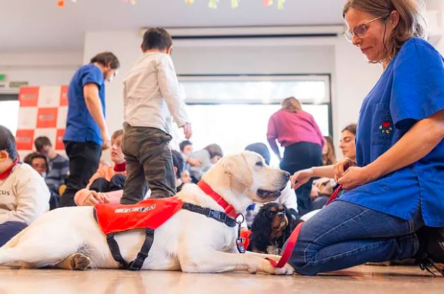 Terapia perruna: un vínculo especial entre humano y animal para combatir la depresión