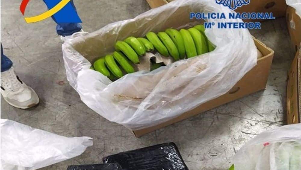 Incautadas 13 toneladas de cocaína de Ecuador, el mayor alijo intervenido en España