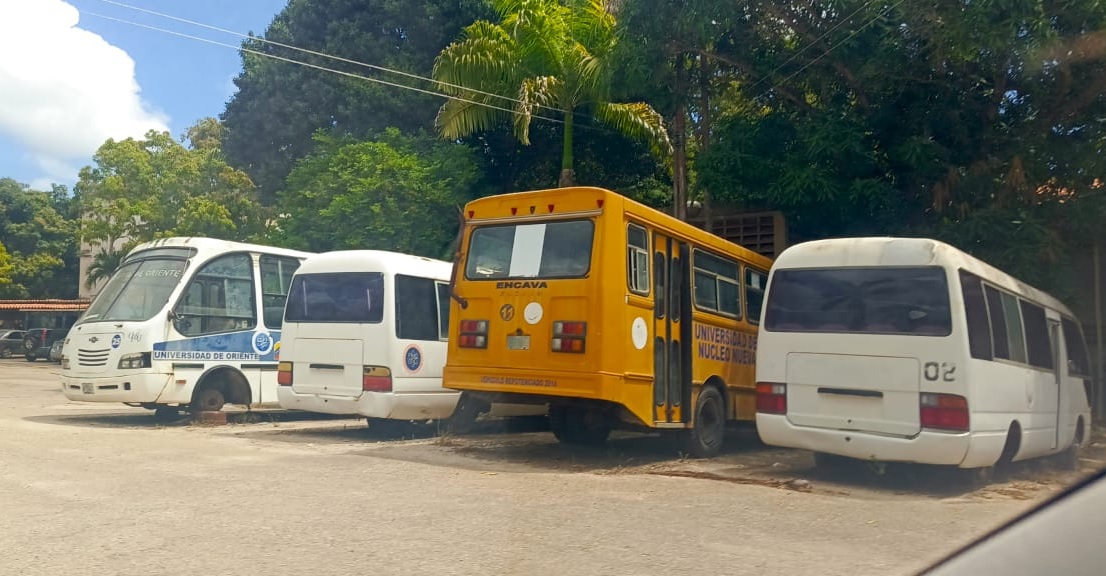 Estudiantes de la UDO Nueva Esparta resuelven problema de transporte ante inercia ministerial