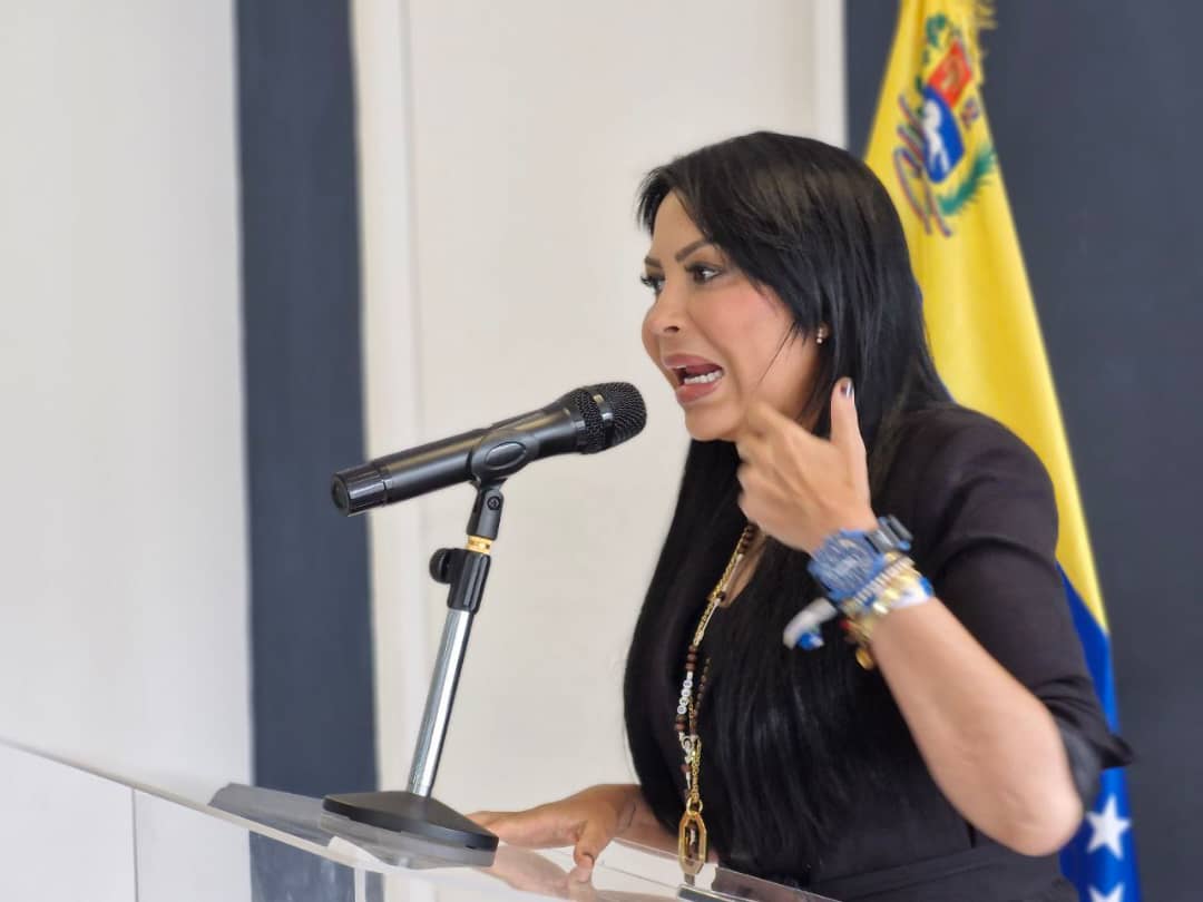 Delsa Solórzano durante aniversario de Encuentro Ciudadano: Venezuela no está sola