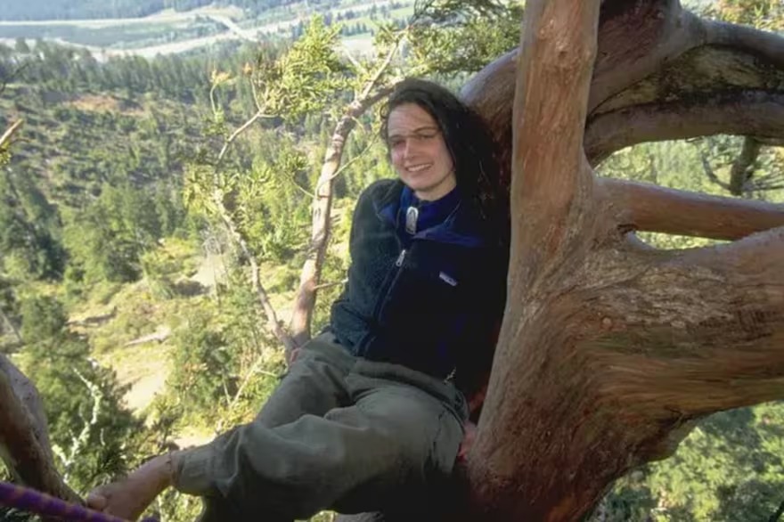 Mujer vivió dos años en la cima de un árbol en California para protegerlo, pero pasó lo inimaginable