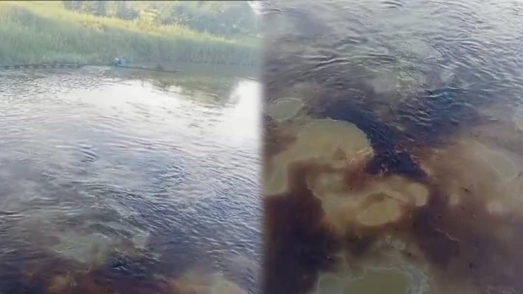 Venezuela’s oil company pipeline that crosses through Hato Corocito ruptured and polluted the Santo Domingo River in Barinas with crude oil