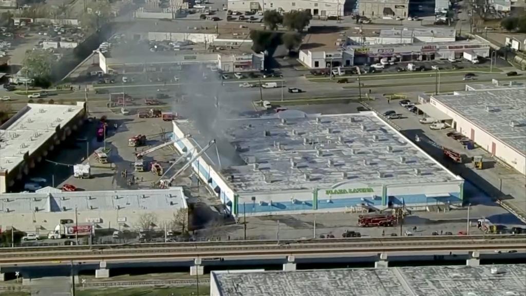 Más de 500 animales murieron en un incendio en centro comercial de Dallas