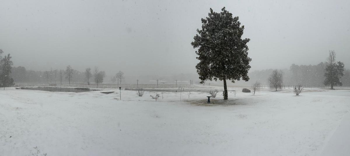 Cayó nieve por primera vez en años en Florida: las imágenes más impactantes