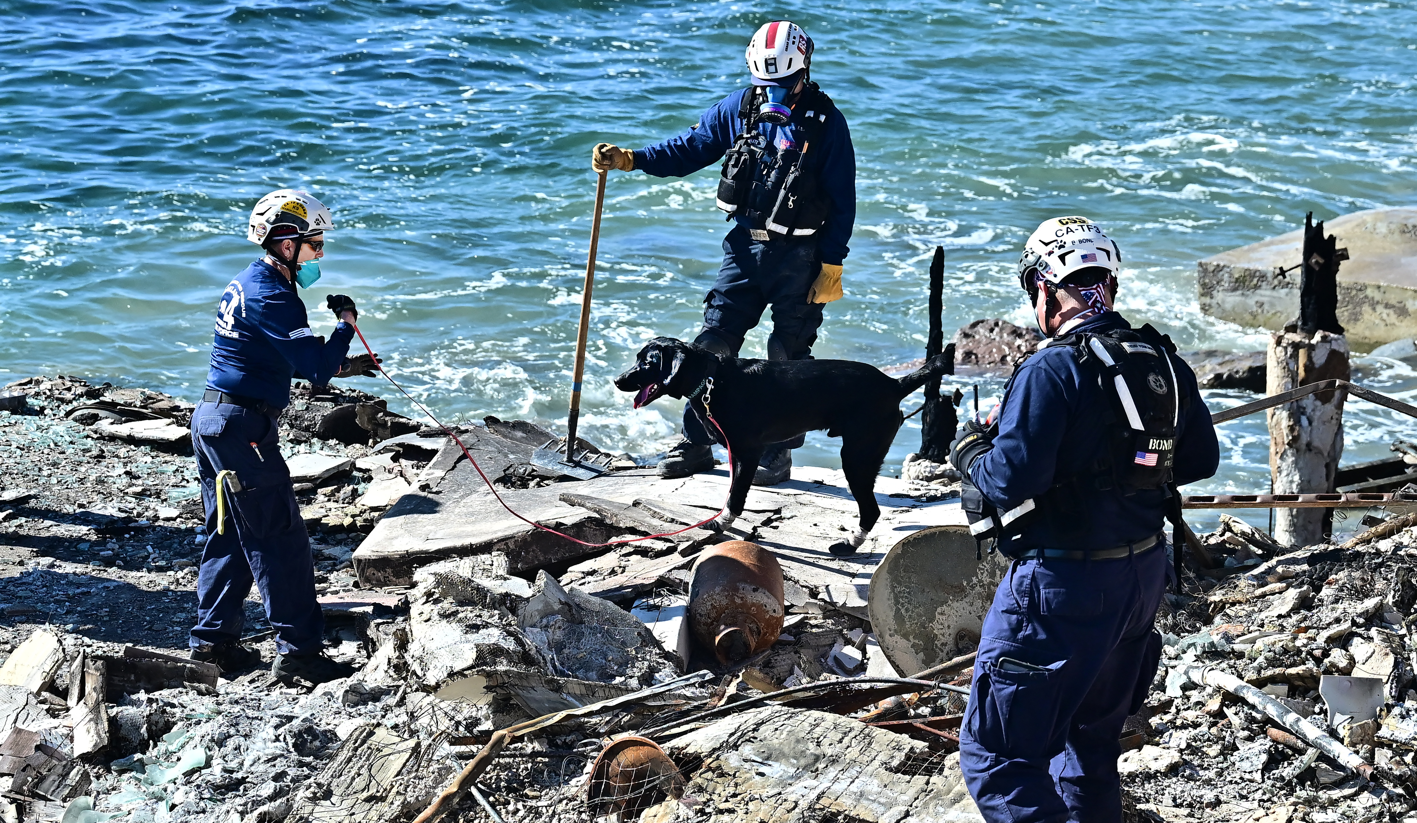 Cómo las brigadas caninas rastrean víctimas de incendios de Los Ángeles