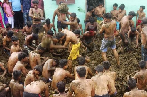 Impactante festival en la India: multitudes lanzan excremento de vaca (VIDEO)