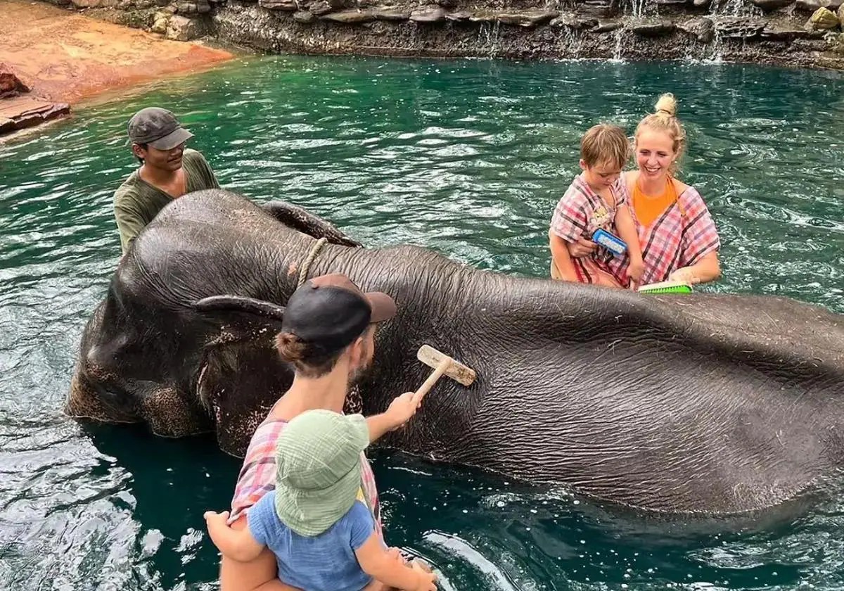 El baño con elefantes, la popular actividad turística tailandesa criticada por animalistas