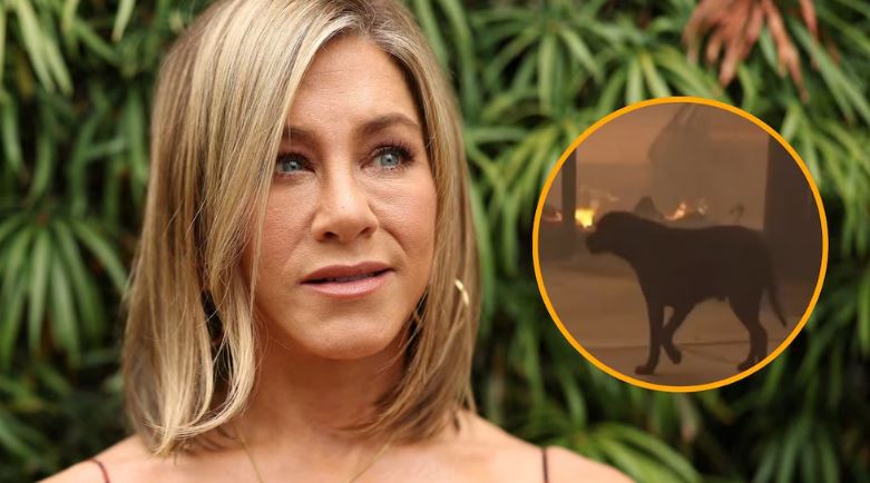 La petición de Jennifer Aniston sobre animales afectados por incendios en Los Ángeles