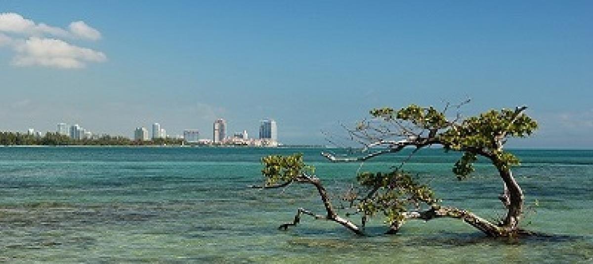 El extraño pueblo fantasma en Florida que se construyó sobre el agua: ¿dónde está?