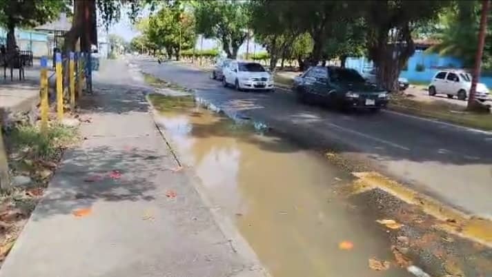 Desde el año pasado se pierde el agua potable por la Av. Adonay Parra Jiménez de Barinas