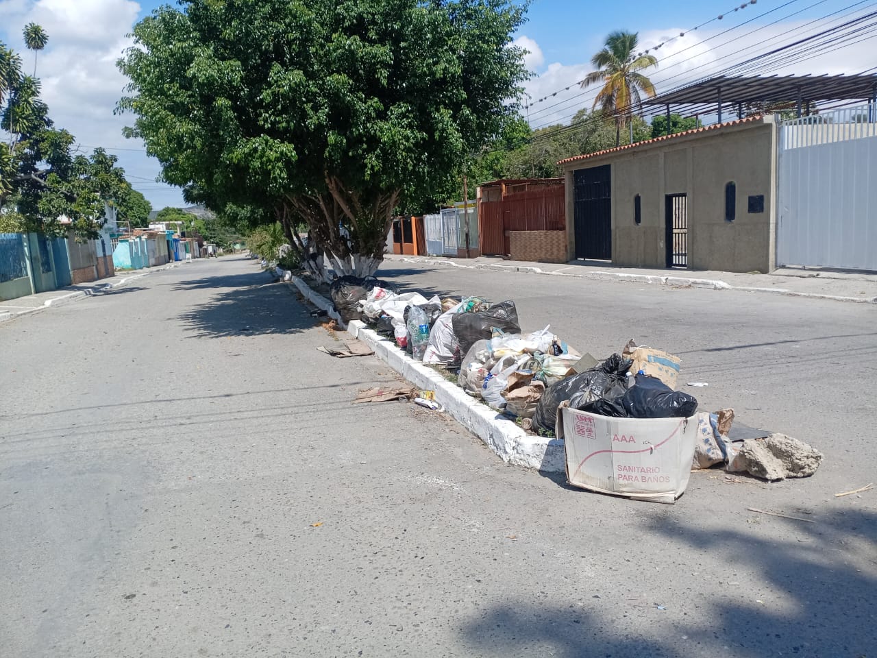 Barrios del oeste de Barquisimeto recibieron el 2025 ahogados en basura