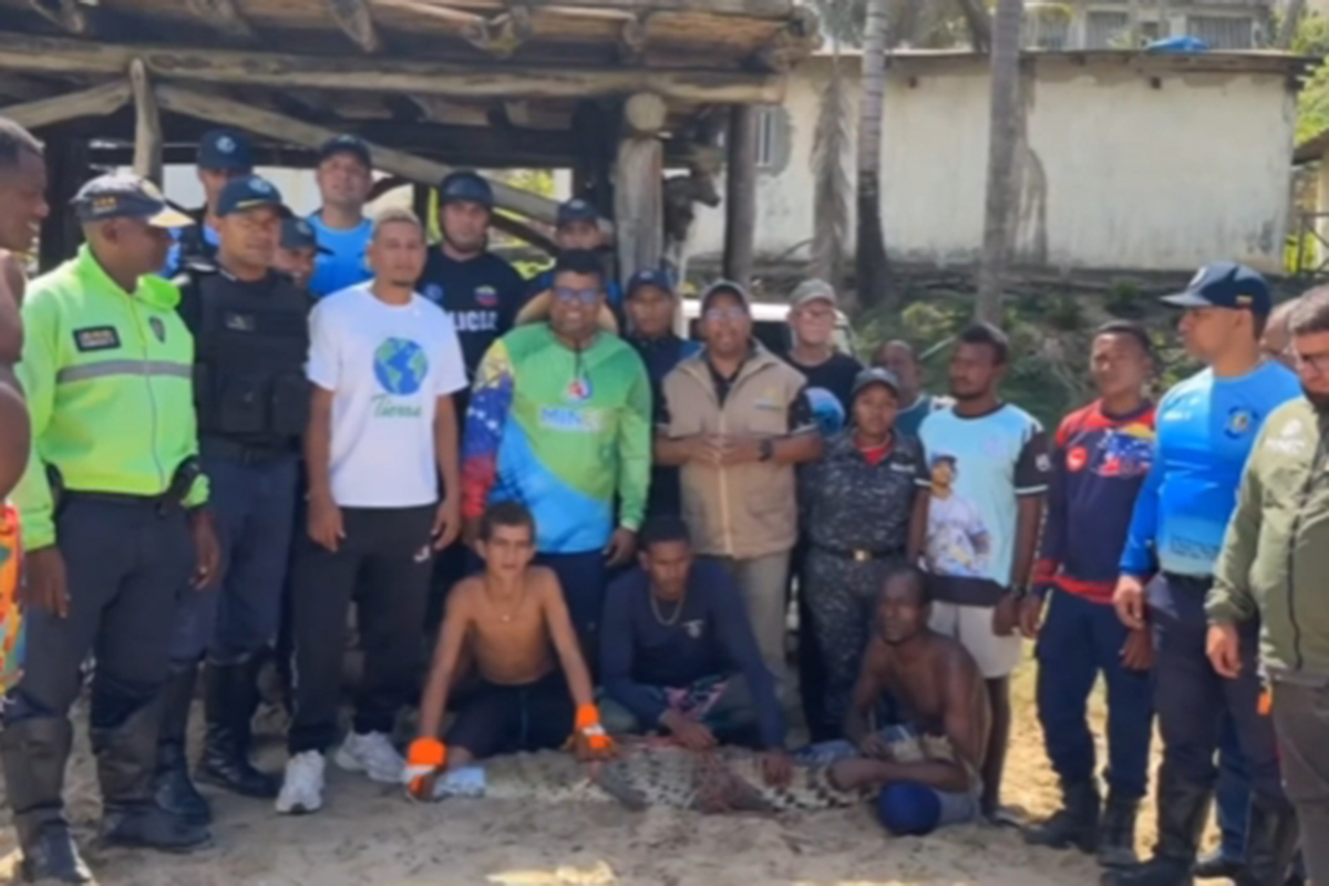 Cinco días le tomó al chavismo rescatar a un ejemplar de especie en peligro de extinción (VIDEO)