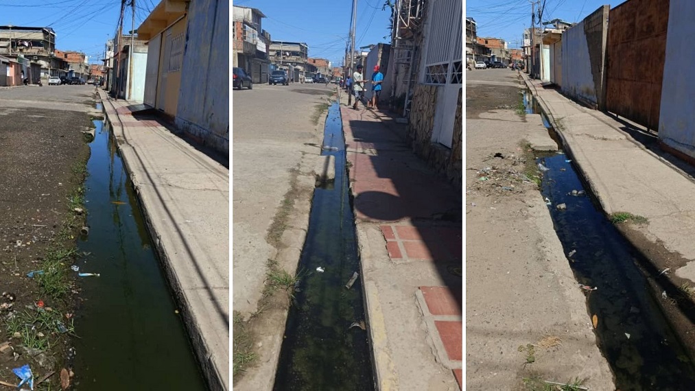 En El Paraíso 2 de Puerto La Cruz están hartos de lidiar con las cloacas