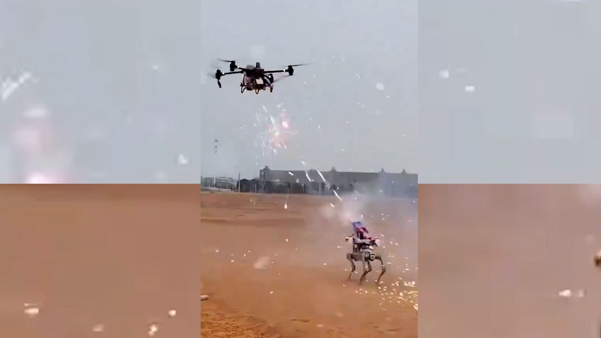 VIDEO: Grabaron el increíble combate entre un dron y un perro robot