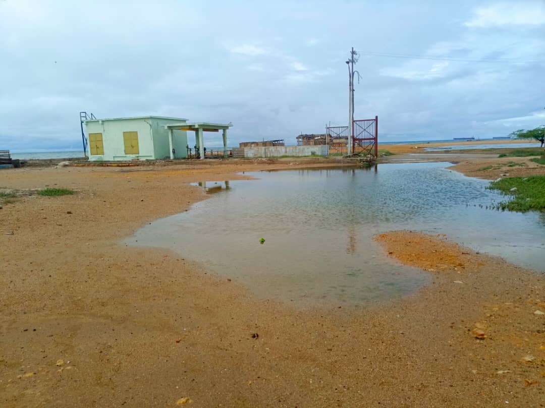 Aumentan casos de dengue hemorrágico en Punta Cardón tras daño en planta de tratamiento