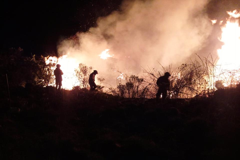 Bomberos y soldados colombianos luchan contra incendio en el parque natural de Chingaza (VIDEOS)