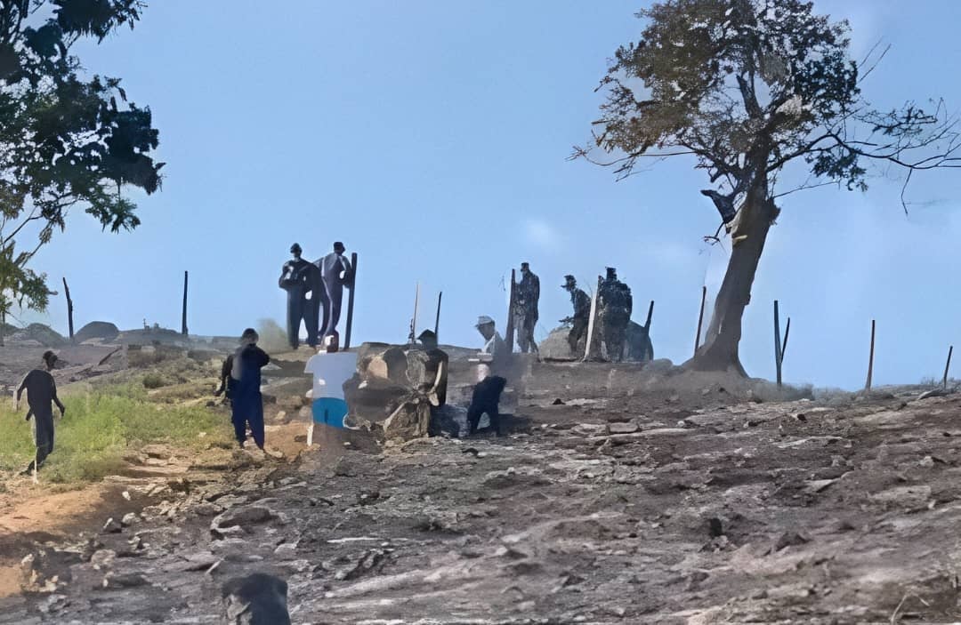 Incendios afectan la vegetación y contaminan el ambiente en Socopó de Barinas