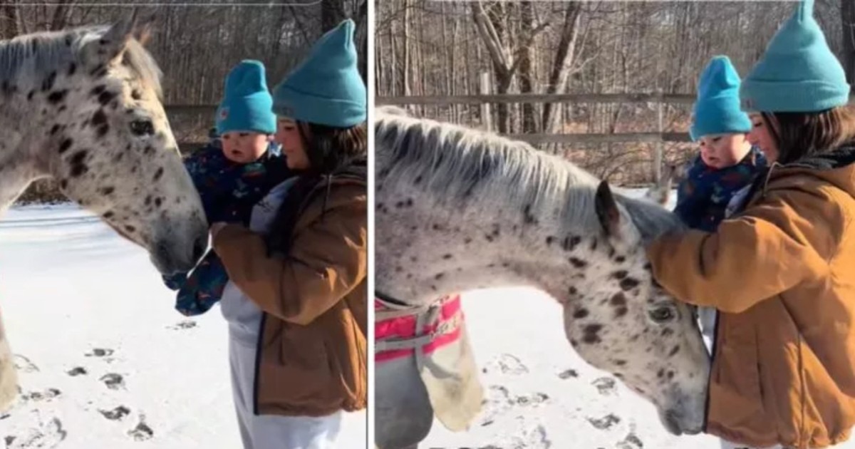 VIDEO: Descubrió que estaba embarazada gracias a la extraña conducta de su caballo